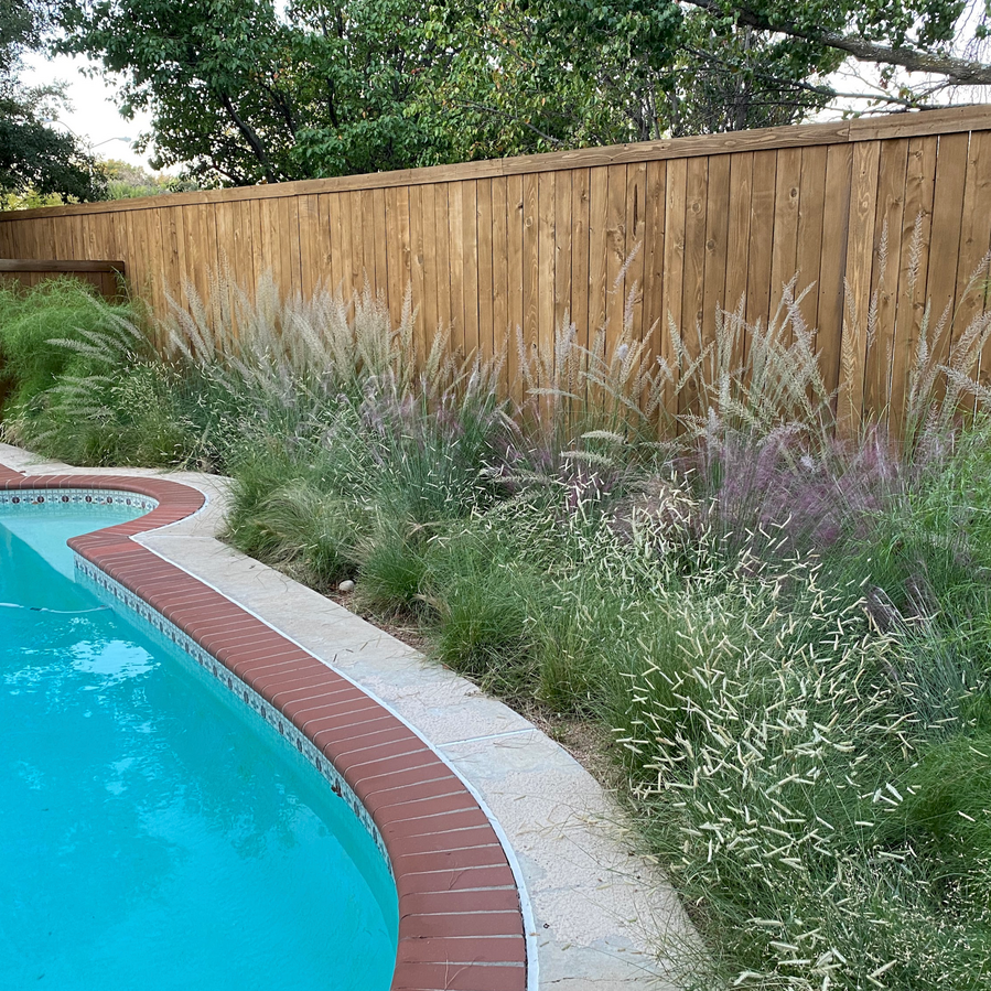 Pool Friendly Landscaping